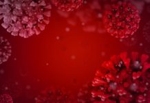 VIH : stabilisation du nombre de découvertes de séropositivité en 2024