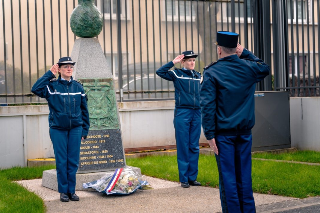 1efc54681f34-Vignette