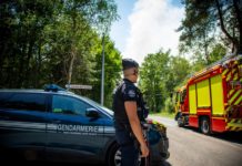 Incendie de Fontainebleau : une réponse globale de la gendarmerie